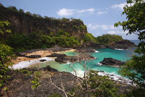 Baia dos Porcos